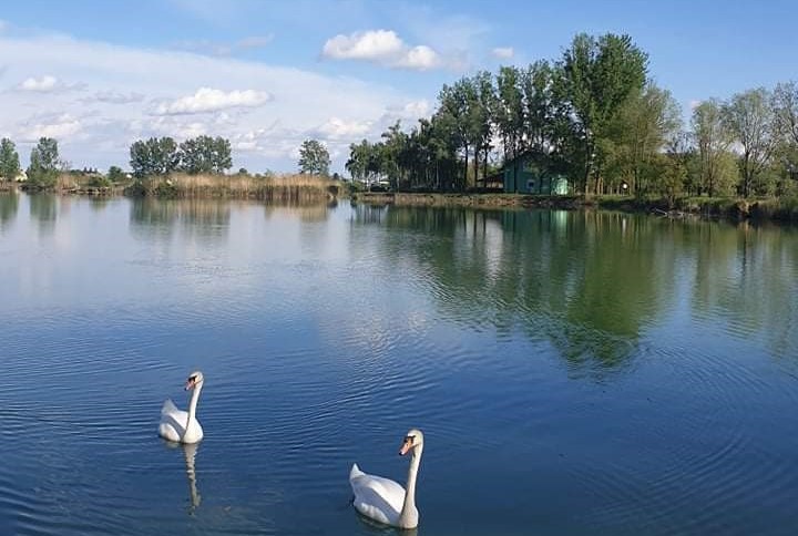 Voda na Bizovačkom bajeru ponovno izvrsne kakvoće